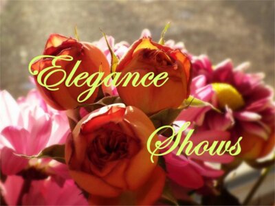 elaganceshows